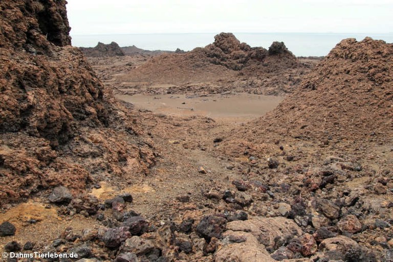 Kraterlandschaft Bartolomé