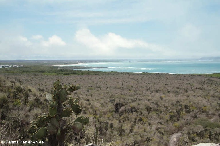 Cerro Ochilla