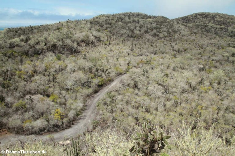 Cerro Ochilla