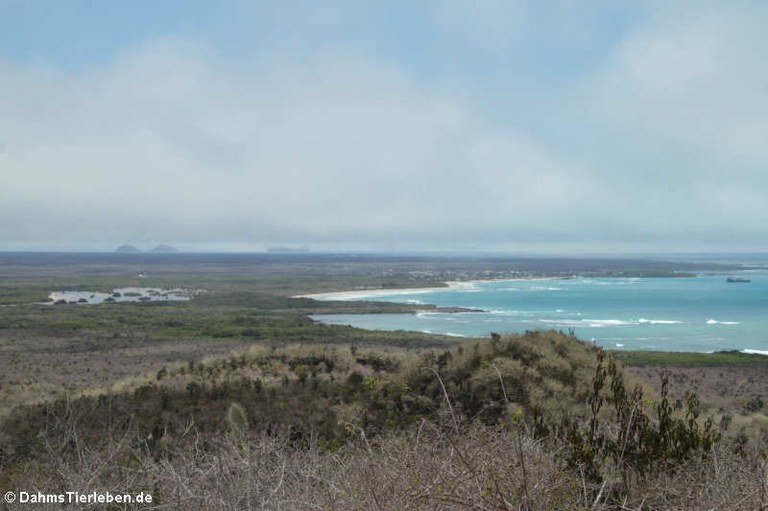 Mirador de las Lágrimas