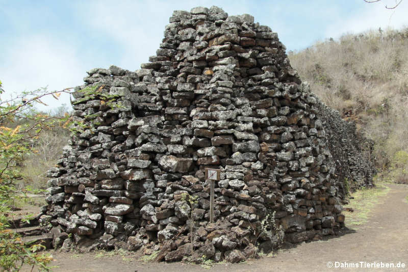 Die Außenseite der Mauer