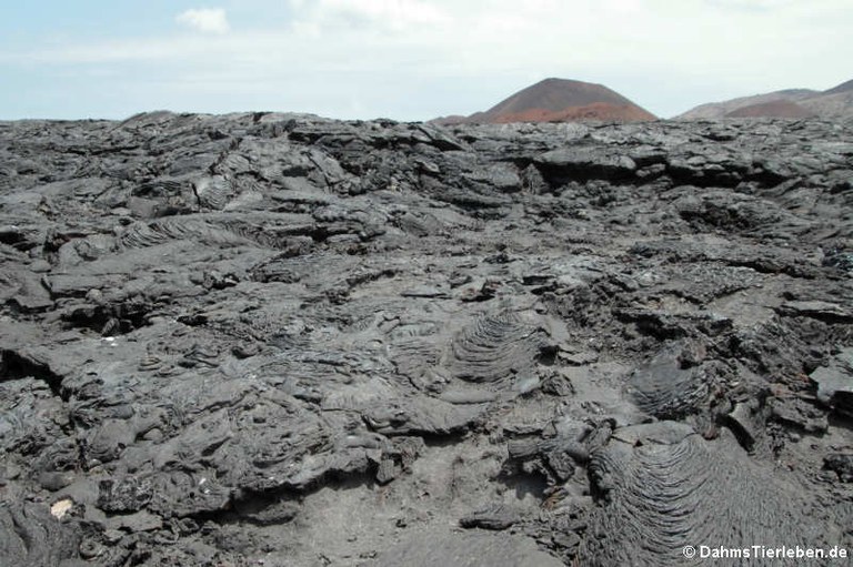 Sullivan Bay Galápagos