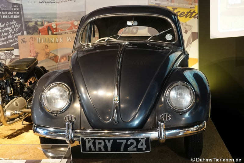 Volkswagen Export Type I Beetle