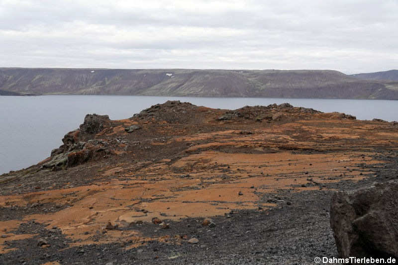 Kleifarvatn-See