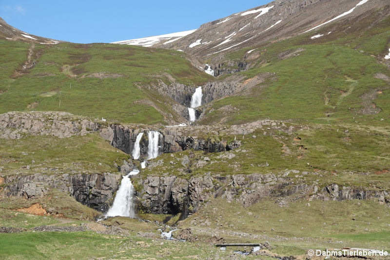 Wasserfall in Seydisfjördur