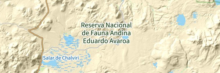 Eduardo Avaroa Andean Fauna