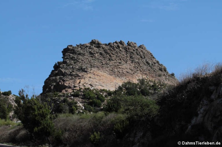 La Gomera