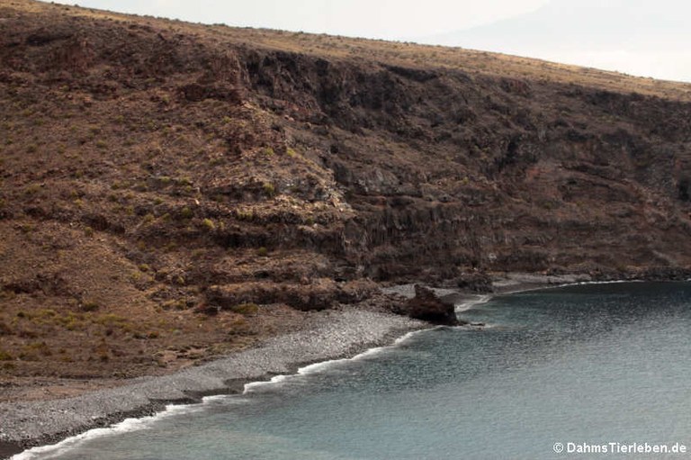 La Gomera