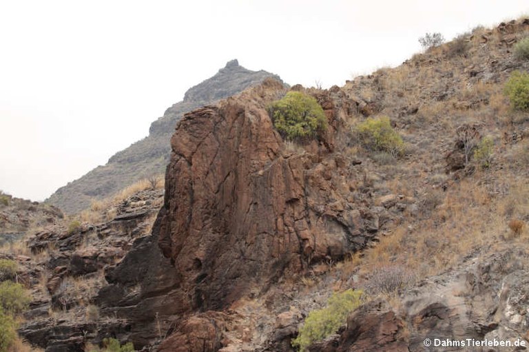 La Gomera