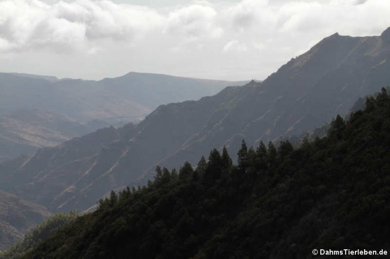 La Gomera