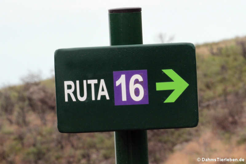 Wegweiser Ruta 16