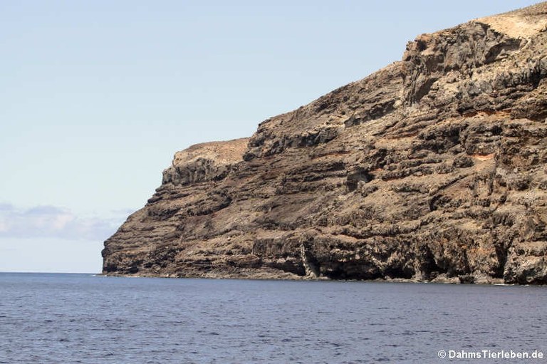 La Gomera