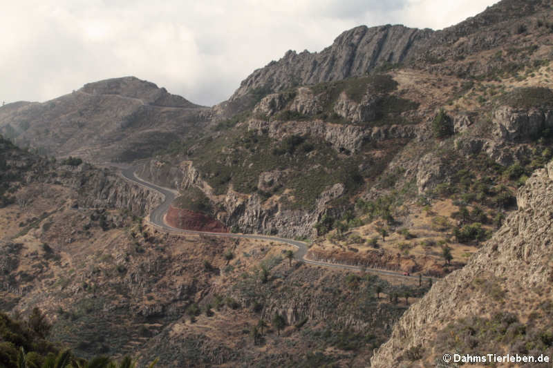 typischer Straßenverlauf auf La Gomera