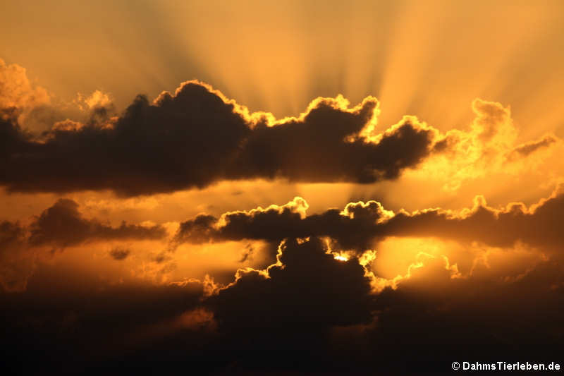 Sonnenuntergang vor Sint Maarten