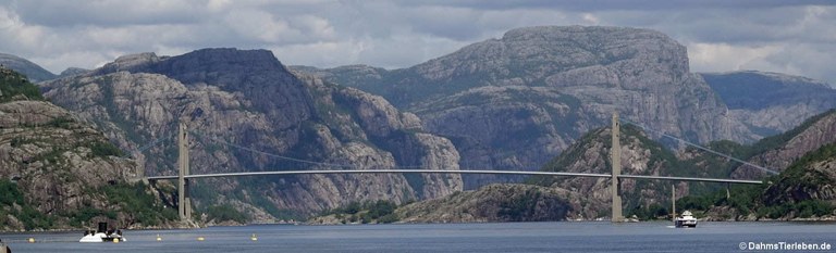 Brücke über den Lysefjord