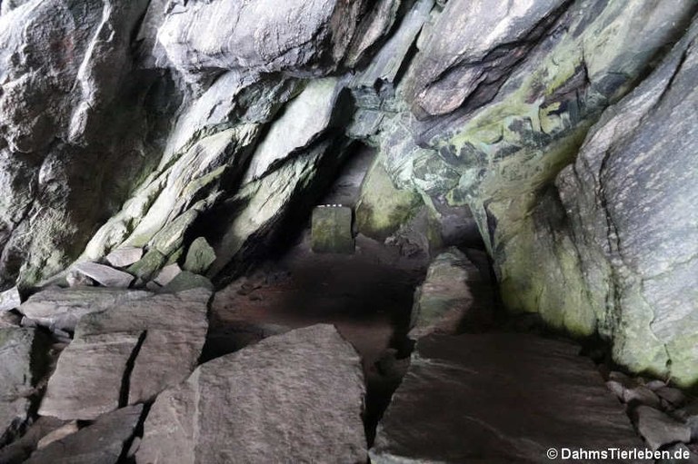 Höhle der Sunniva