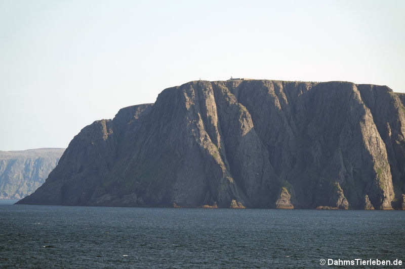 Felsplateau Nordkap