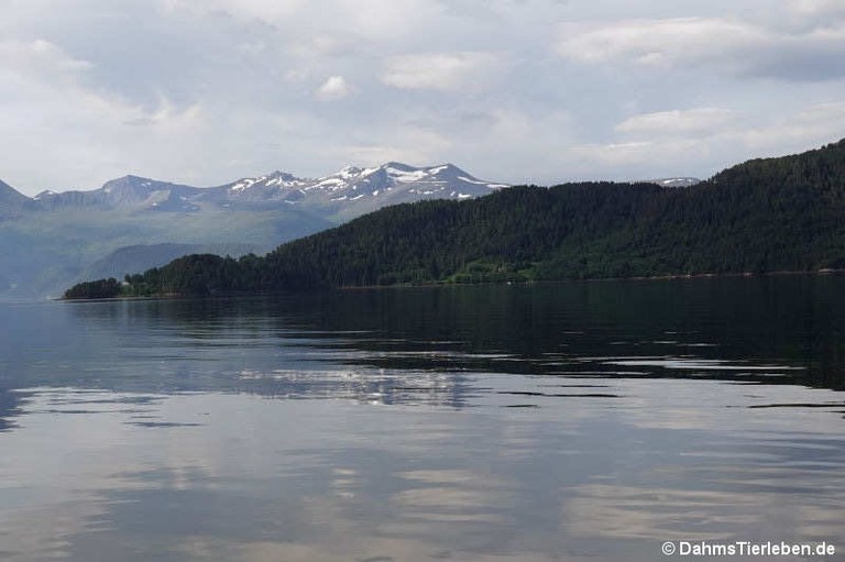 Romsdalsfjord