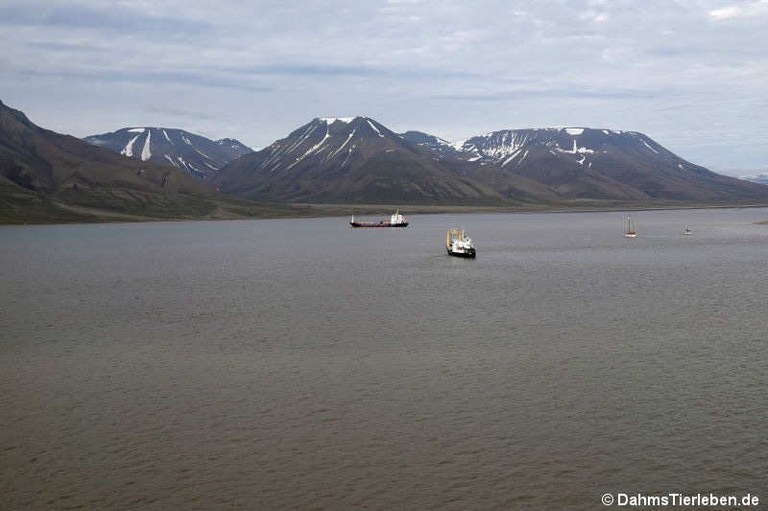 Adventfjorden