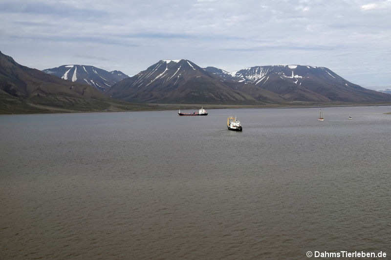 Adventfjorden