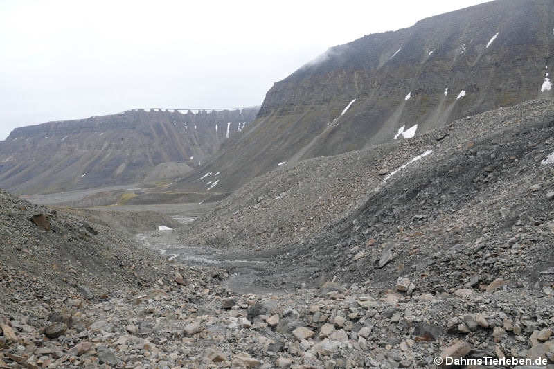 Endmoräne Longyearbyen