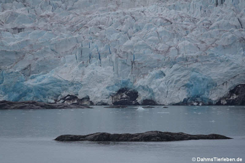 Abrisskante  Nordenskiöldbreen