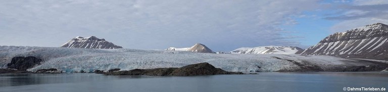 Nordenskiöldbreen