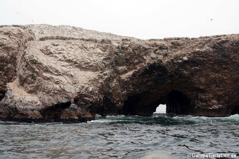 Islas Ballestas