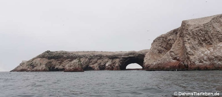 Islas Ballestas