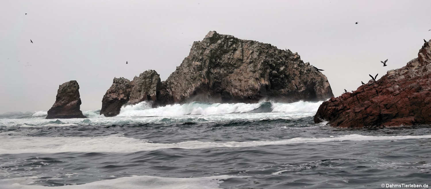 Islas Ballestas