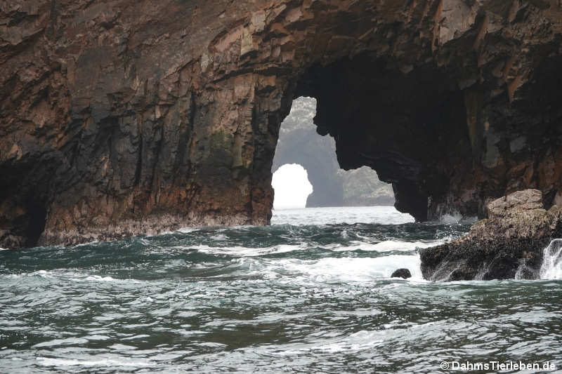 Islas Ballestas