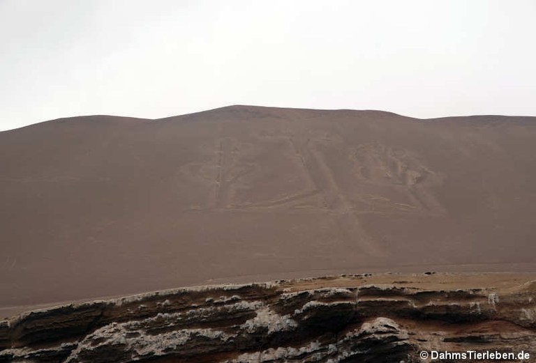 Paracas Candelabra