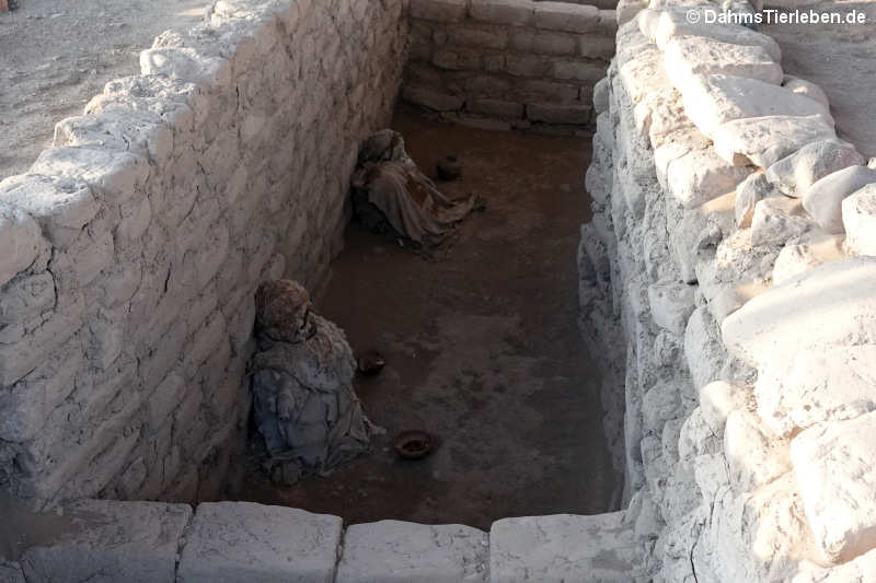 Mumien im Cementerio de Chauchilla, Peru