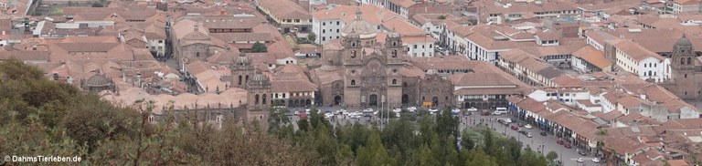 Plaza de Armas