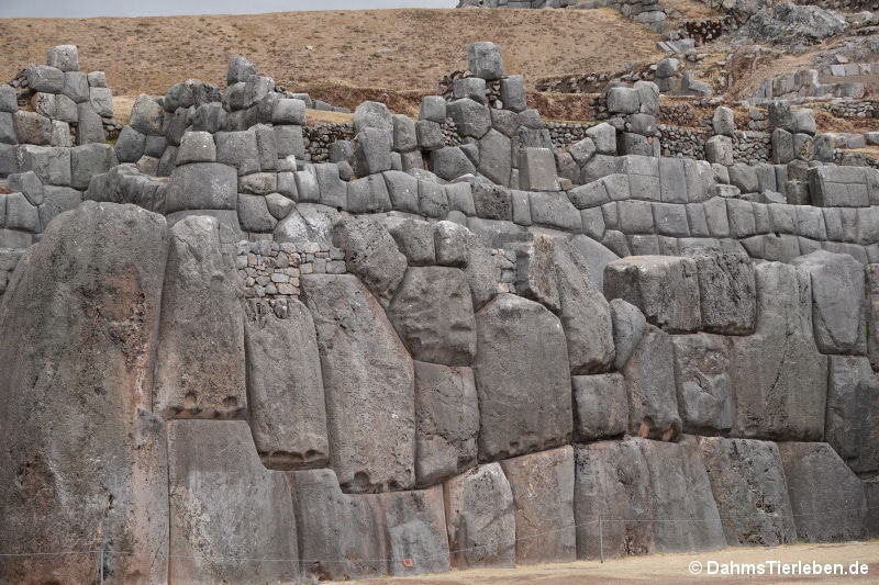 Sacsayhuaman-12