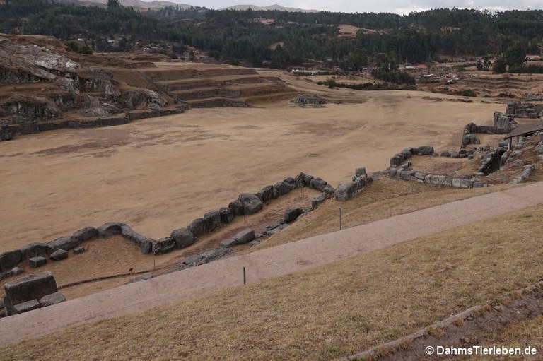 Sacsayhuamán