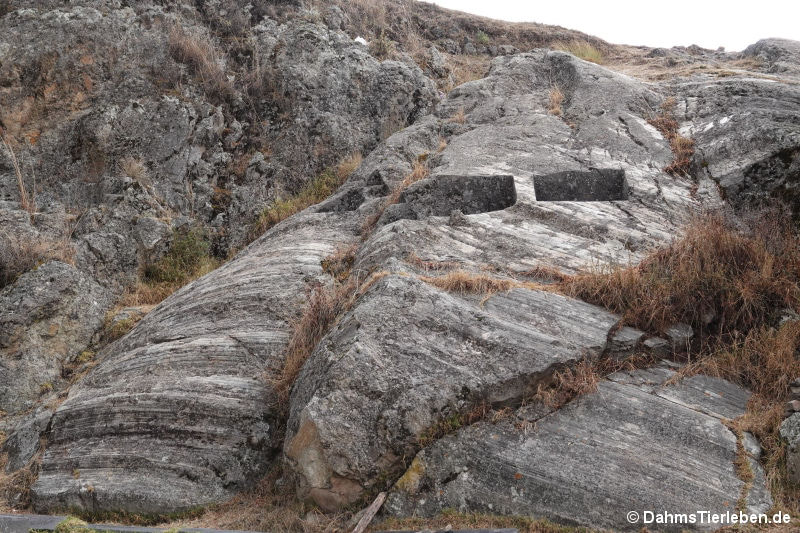 Sacsayhuaman-8