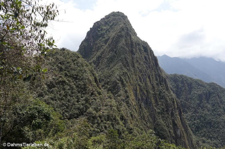 Huayna Picchu