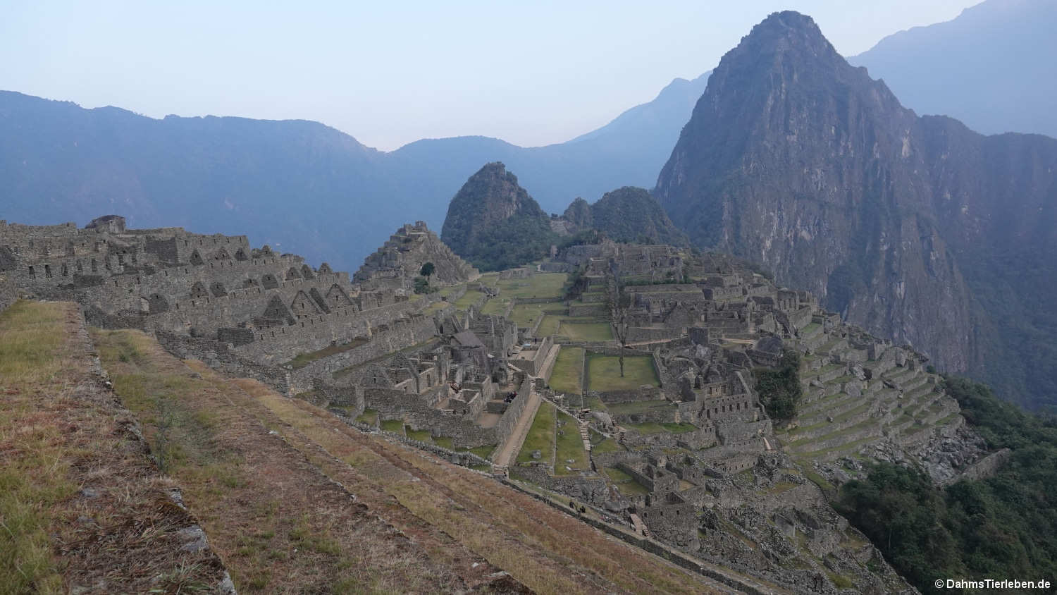 Städtische Zone in Machu Picchu