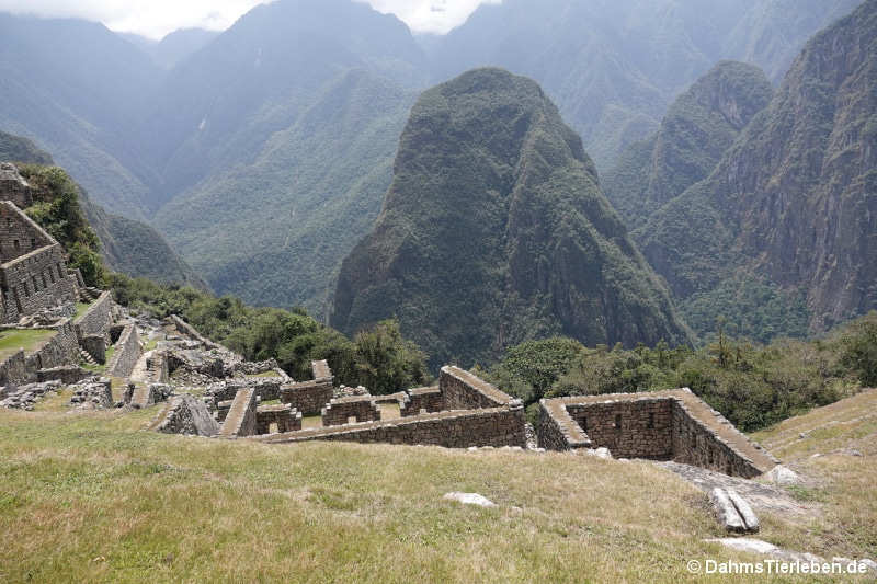 machu-picchu-10.jpg