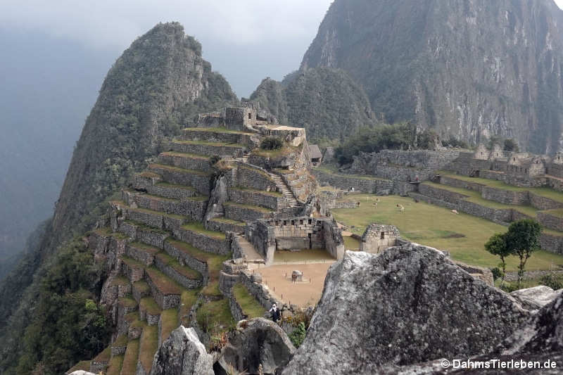 Heiliger Platz in Machu Picchu