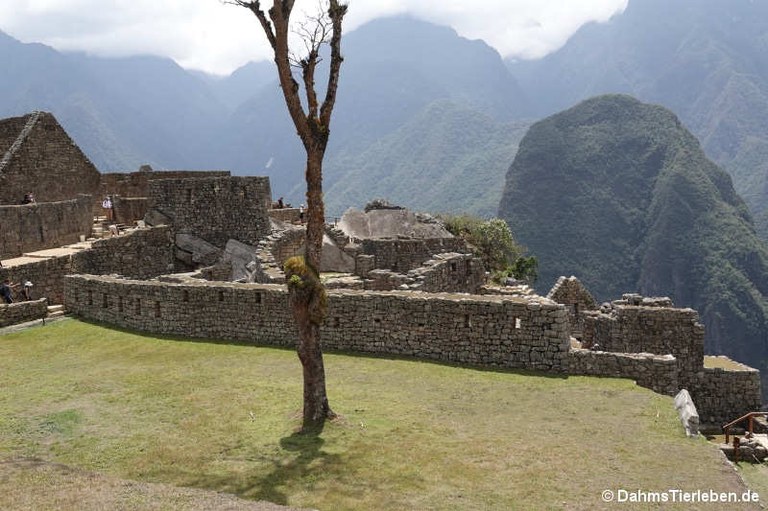 machu-picchu-12.jpg