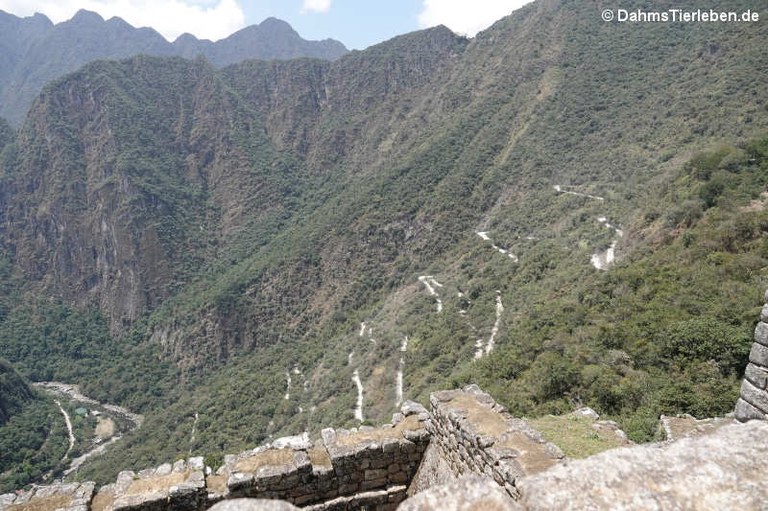 Straße nach Machu Picchu