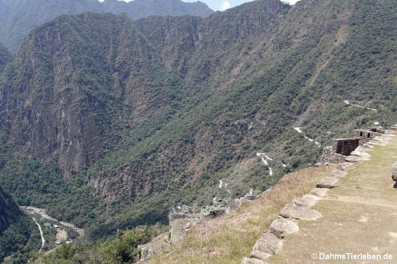 Straße nach Machu Picchu