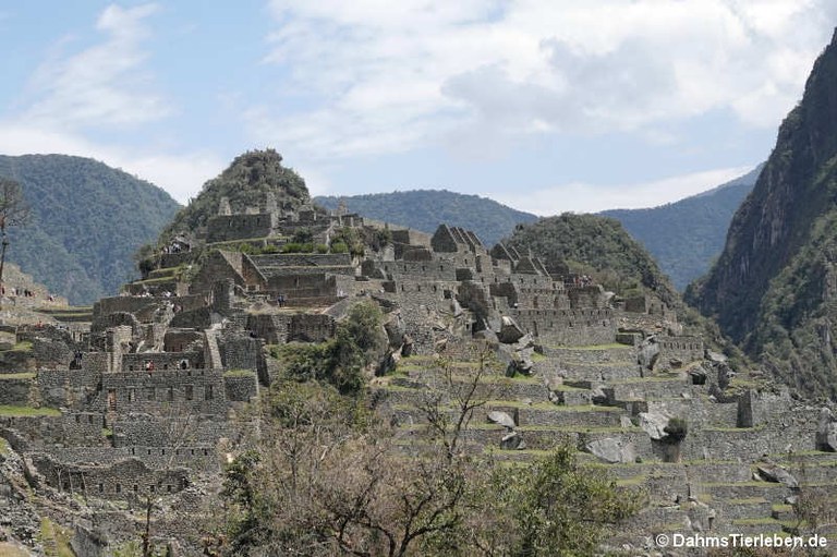 machu-picchu-3.jpg