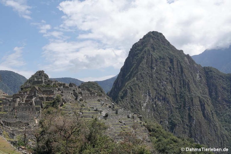 machu-picchu-4.jpg