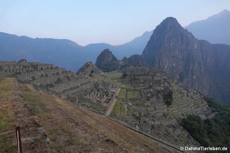 machu-picchu-44.jpg