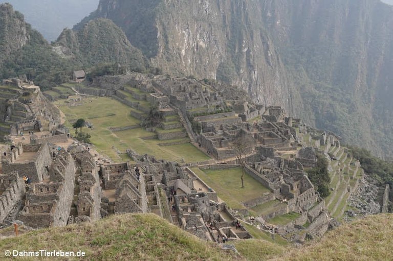 Hauptplatz in Machu Picchu