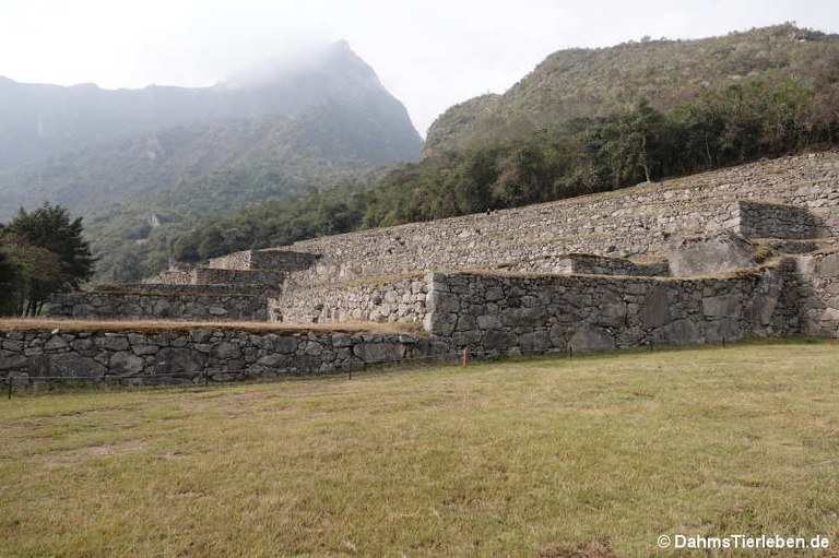 machu-picchu-47.jpg