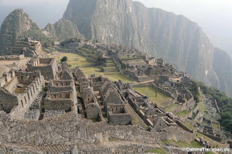 machu-picchu-50.jpg